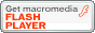 Macromedia Flash Player�@�T�C�g�փ��b�cGO�I
